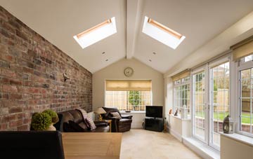 conservatory roof insulation Raddington, Somerset