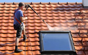 roof cleaning Raddington, Somerset