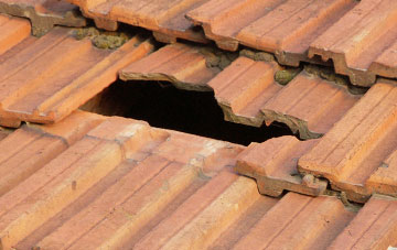 roof repair Raddington, Somerset