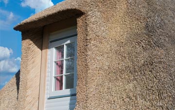 Raddington thatch roof disadvantages