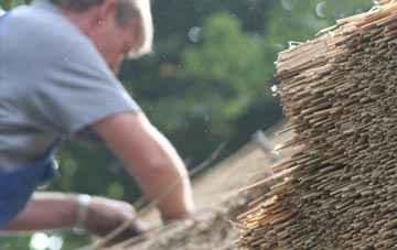 professional Raddington thatchers