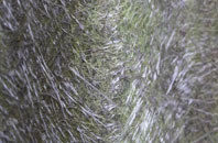 Raddington fibreglass roof work